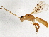  ( - BIOUG02581-D02)  @13 [ ] CreativeCommons - Attribution (2013) CBG Photography Group Centre for Biodiversity Genomics