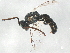  ( - BIOUG02584-F09)  @13 [ ] CreativeCommons - Attribution (2013) CBG Photography Group Centre for Biodiversity Genomics