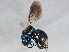  ( - BIOUG02585-H11)  @14 [ ] CreativeCommons - Attribution (2013) CBG Photography Group Centre for Biodiversity Genomics