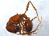  ( - BIOUG02620-D11)  @12 [ ] CreativeCommons - Attribution (2013) CBG Photography Group Centre for Biodiversity Genomics