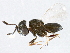  ( - BIOUG02643-A05)  @11 [ ] CreativeCommons - Attribution (2013) CBG Photography Group Centre for Biodiversity Genomics