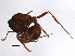  ( - BIOUG02688-B10)  @12 [ ] CreativeCommons - Attribution (2013) CBG Photography Group Centre for Biodiversity Genomics