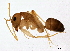  ( - BIOUG02761-C07)  @14 [ ] CreativeCommons - Attribution (2013) CBG Photography Group Centre for Biodiversity Genomics