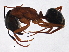  ( - BIOUG02774-A05)  @13 [ ] CreativeCommons - Attribution (2013) CBG Photography Group Centre for Biodiversity Genomics