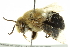  ( - BIOUG02462-C12)  @14 [ ] CreativeCommons - Attribution (2013) CBG Photography Group Centre for Biodiversity Genomics