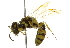  ( - BIOUG02476-H08)  @14 [ ] CreativeCommons - Attribution (2013) CBG Photography Group Centre for Biodiversity Genomics