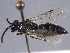  ( - BIOUG02486-A01)  @12 [ ] CreativeCommons - Attribution (2012) CBG Photography Group Centre for Biodiversity Genomics