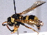  ( - BIOUG02486-D06)  @12 [ ] CreativeCommons - Attribution (2012) CBG Photography Group Centre for Biodiversity Genomics