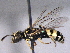  ( - BIOUG02486-H11)  @13 [ ] CreativeCommons - Attribution (2012) CBG Photography Group Centre for Biodiversity Genomics