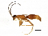  ( - BIOUG02644-D10)  @14 [ ] CreativeCommons - Attribution (2013) CBG Photography Group Centre for Biodiversity Genomics
