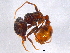  ( - BIOUG02771-F10)  @13 [ ] CreativeCommons - Attribution (2012) CBG Photography Group Centre for Biodiversity Genomics
