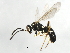  ( - 09BBEHY-1026)  @11 [ ] CreativeCommons - Attribution (2010) Unspecified Centre for Biodiversity Genomics