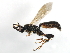  ( - 09BBEHY-1042)  @15 [ ] CreativeCommons - Attribution (2010) Unspecified Centre for Biodiversity Genomics