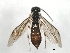  ( - 09BBEHY-1044)  @13 [ ] CreativeCommons - Attribution (2010) Unspecified Centre for Biodiversity Genomics