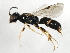  ( - 09BBEHY-1054)  @13 [ ] CreativeCommons - Attribution (2010) Unspecified Centre for Biodiversity Genomics