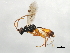  ( - 09BBEHY-1078)  @14 [ ] CreativeCommons - Attribution (2010) Unspecified Centre for Biodiversity Genomics
