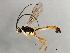  ( - 09BBEHY-1117)  @14 [ ] CreativeCommons - Attribution (2010) Unspecified Centre for Biodiversity Genomics