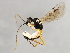  ( - 09BBEHY-1133)  @13 [ ] CreativeCommons - Attribution (2010) Unspecified Centre for Biodiversity Genomics