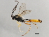  ( - 09BBEHY-1135)  @14 [ ] CreativeCommons - Attribution (2010) Unspecified Centre for Biodiversity Genomics