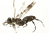  ( - 09BBEHY-1198)  @11 [ ] CreativeCommons - Attribution (2010) Unspecified Centre for Biodiversity Genomics
