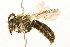  ( - 09BBEHY-1203)  @14 [ ] CreativeCommons - Attribution (2010) Unspecified Centre for Biodiversity Genomics