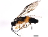 ( - 09BBEHY-2359)  @13 [ ] CreativeCommons - Attribution (2010) CBG Photography Group Centre for Biodiversity Genomics