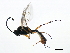  ( - 10BBHYM-0460)  @13 [ ] CreativeCommons - Attribution (2010) CBG Photography Group Centre for Biodiversity Genomics