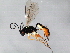  ( - 10BBHYM-1049)  @12 [ ] CreativeCommons - Attribution (2010) CBG Photography Group Centre for Biodiversity Genomics