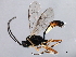  ( - 10BBHYM-1090)  @12 [ ] CreativeCommons - Attribution (2010) CBG Photography Group Centre for Biodiversity Genomics