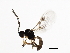  ( - 10BBHYM-1351)  @13 [ ] CreativeCommons - Attribution (2010) CBG Photography Group Centre for Biodiversity Genomics