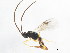  ( - 10BBHYM-1225)  @13 [ ] CreativeCommons - Attribution (2010) CBG Photography Group Centre for Biodiversity Genomics