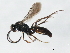  ( - 10BBCHY-0180)  @11 [ ] CreativeCommons - Attribution (2010) CBG Photography Group Centre for Biodiversity Genomics