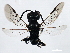  ( - 10BBCHY-0641)  @13 [ ] CreativeCommons - Attribution (2010) CBG Photography Group Centre for Biodiversity Genomics