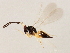  ( - 10BBCHY-1145)  @12 [ ] CreativeCommons - Attribution (2010) CBG Photography Group Centre for Biodiversity Genomics