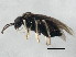  ( - 10BBCHY-1421)  @12 [ ] CreativeCommons - Attribution (2010) CBG Photography Group Centre for Biodiversity Genomics