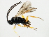  ( - 10BBCHY-1825)  @12 [ ] CreativeCommons - Attribution (2010) CBG Photography Group Centre for Biodiversity Genomics
