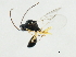  ( - 10BBCHY-1891)  @13 [ ] CreativeCommons - Attribution (2010) CBG Photography Group Centre for Biodiversity Genomics