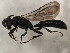  ( - 10BBCHY-1957)  @13 [ ] CreativeCommons - Attribution (2010) CBG Photography Group Centre for Biodiversity Genomics