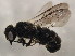 ( - 10BBCHY-2144)  @13 [ ] CreativeCommons - Attribution (2010) CBG Photography Group Centre for Biodiversity Genomics