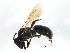  ( - 10BBCHY-2389)  @14 [ ] CreativeCommons - Attribution (2010) CBG Photography Group Centre for Biodiversity Genomics