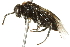  ( - 10BBCHY-3879)  @13 [ ] CreativeCommons - Attribution (2011) CBG Photography Group Centre for Biodiversity Genomics