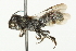  ( - 10BBCHY-3327)  @13 [ ] CreativeCommons - Attribution (2011) CBG Photography Group Centre for Biodiversity Genomics