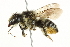  ( - 10BBCHY-3247)  @14 [ ] CreativeCommons - Attribution (2011) CBG Photography Group Centre for Biodiversity Genomics