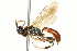  ( - 10BBCHY-3627)  @14 [ ] CreativeCommons - Attribution (2011) CBG Photography Group Centre for Biodiversity Genomics
