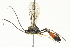  ( - 10BBCHY-3674)  @13 [ ] CreativeCommons - Attribution (2011) CBG Photography Group Centre for Biodiversity Genomics