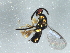 ( - 08BBHYM-1189)  @12 [ ] CreativeCommons - Attribution (2009) Unspecified Centre for Biodiversity Genomics