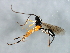  ( - 08BBHYM-1353)  @13 [ ] CreativeCommons - Attribution (2009) Unspecified Centre for Biodiversity Genomics