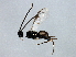  ( - 08BBHYM-1368)  @12 [ ] CreativeCommons - Attribution (2009) Unspecified Centre for Biodiversity Genomics