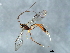  ( - 08BBHYM-1637)  @12 [ ] CreativeCommons - Attribution (2010) Unspecified Centre for Biodiversity Genomics