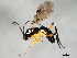  ( - 08BBHYM-1665)  @14 [ ] CreativeCommons - Attribution (2010) Unspecified Centre for Biodiversity Genomics